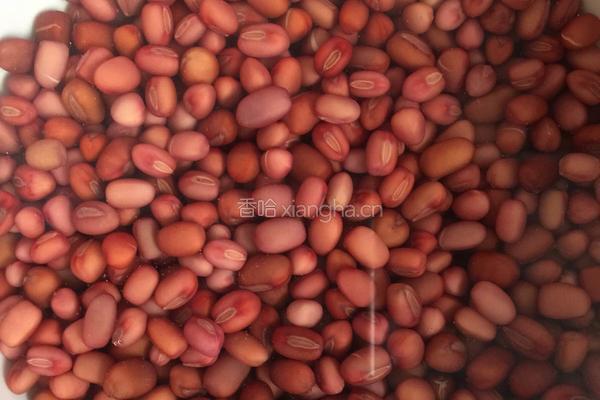 红豆牛奶西米露的做法图解2