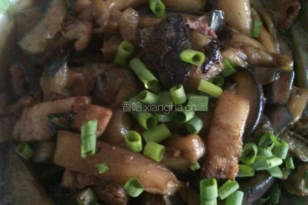 肉炒茄子