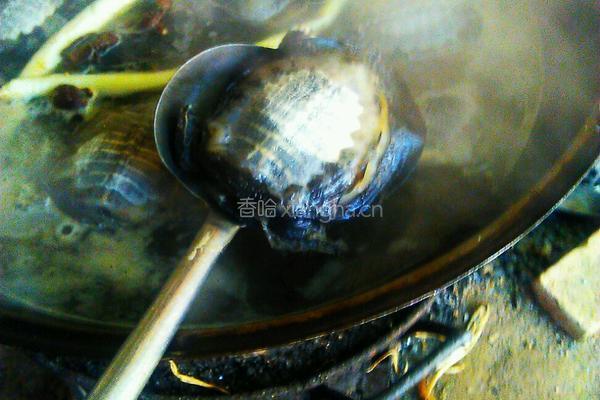 清炖甲鱼