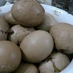 绿茶立夏茶叶蛋的做法[图]