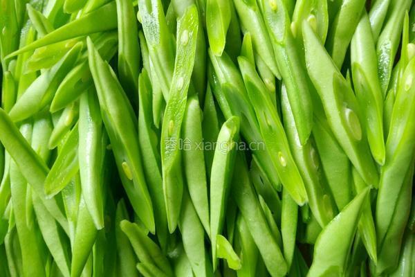 椒香四季豆的做法图解2