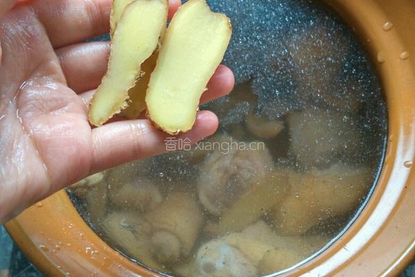 香菇炖鸡的做法图解5