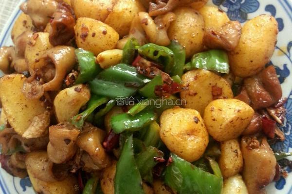 土豆烧肥肠的做法图解5