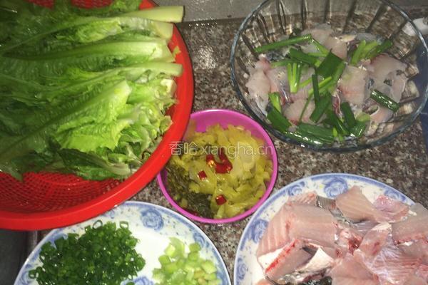 大众酸菜鱼的做法图解6