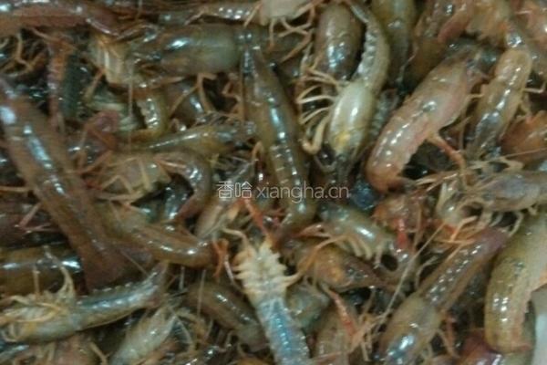 油炸小龙虾的做法图解1