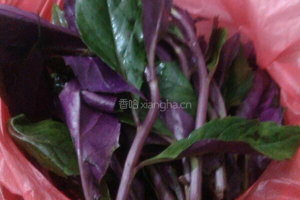 鱼汤浸紫蕨菜