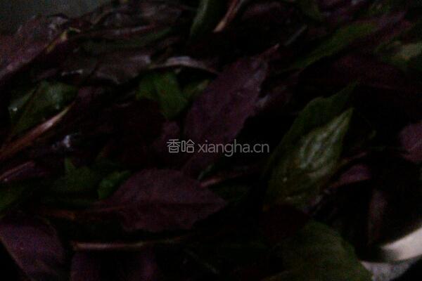 鱼汤浸紫蕨菜的做法图解5