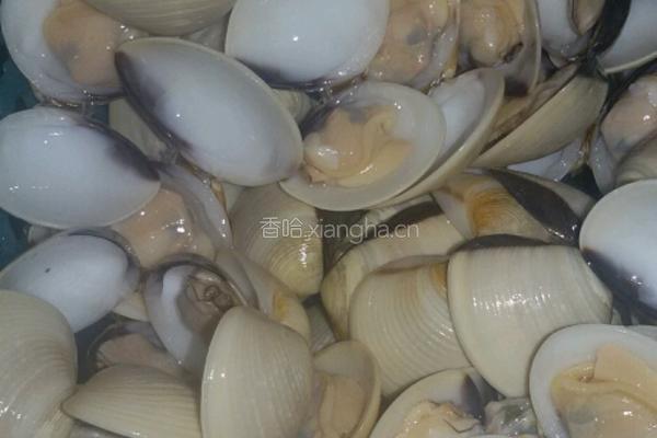 豆腐白贝汤的做法图解3