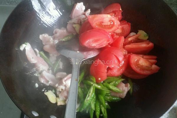 西红柿青椒炒肉的做法图解4