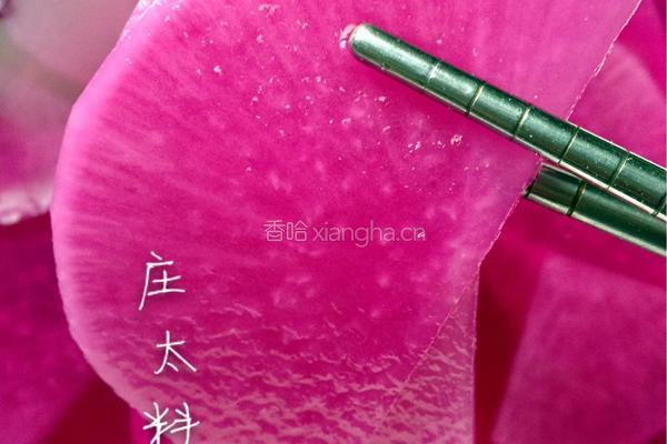 糖醋酸脆萝卜的做法图解9