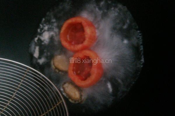 番茄煮鲍鱼的做法图解5