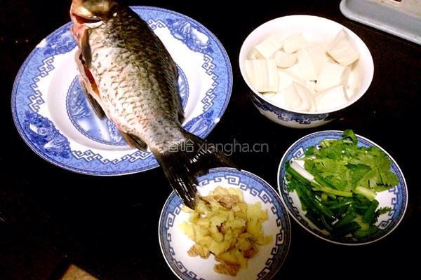 鲫鱼豆腐汤的做法图解1