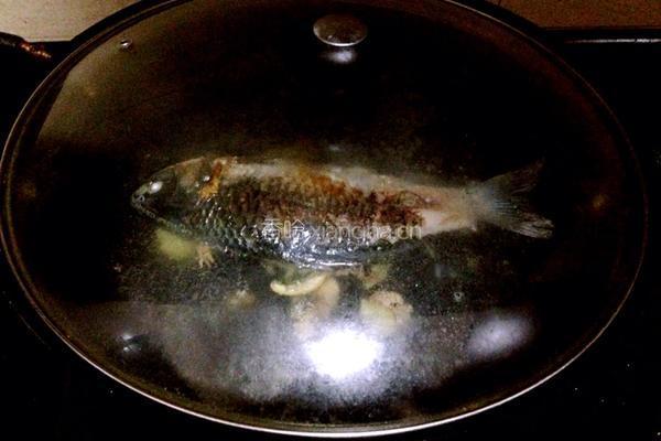 鲫鱼豆腐汤的做法图解4