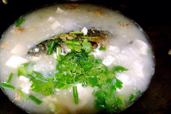 鲫鱼豆腐汤的做法图解6