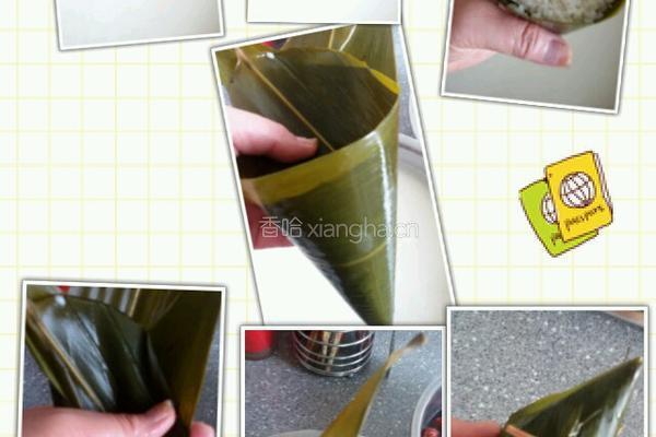 粽子。的做法图解2