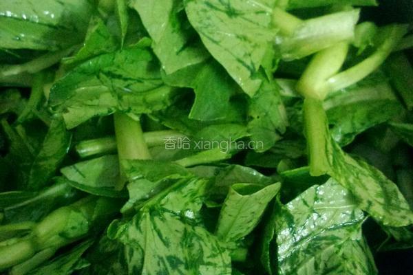 青菜瘦肉粥的做法图解2