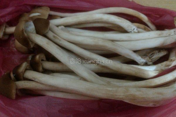 茶树菇炒牛柳的做法图解4