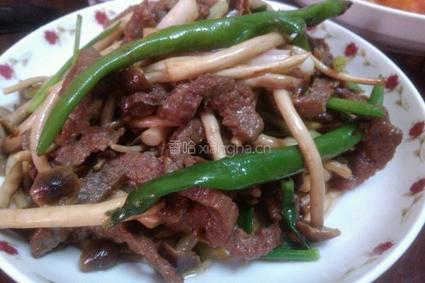 茶树菇炒牛柳的做法图解6