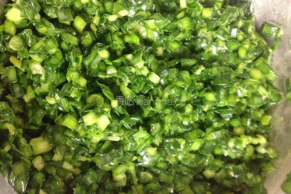 饺子（煎饺）的做法图解2