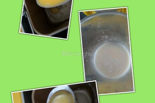 菠萝包。的做法图解2