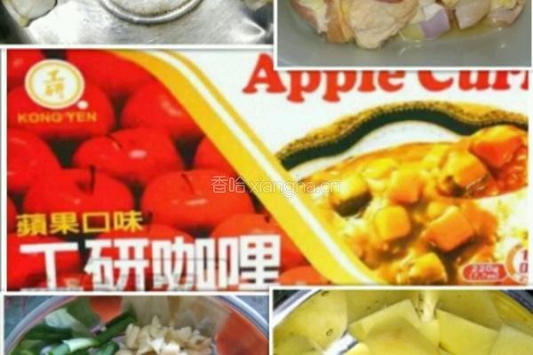 咖喱土豆鸡肉饭的做法图解1