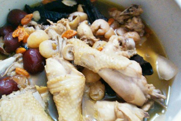 灵芝煲土鸡的做法图解9