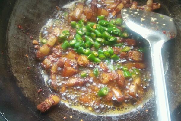 坨坨肉烧茄子的做法图解4