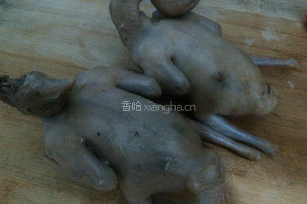 红烧乳鸽的做法图解2
