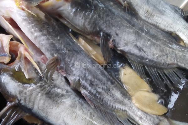 昂刺鱼豆腐汤的做法图解6