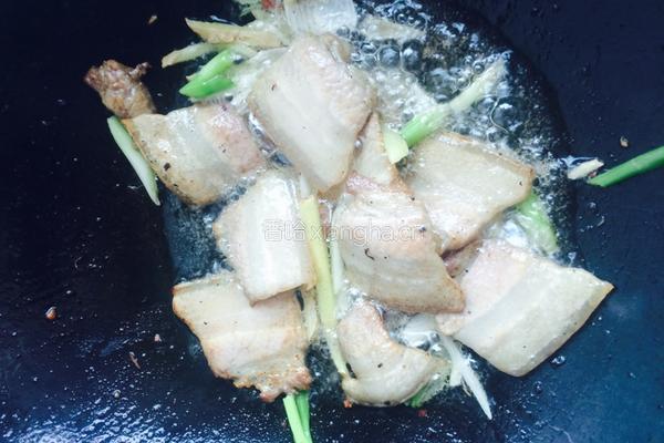 海带豆芽烧肉的做法图解3
