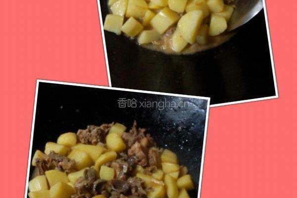 土豆焖鸭的做法图解5