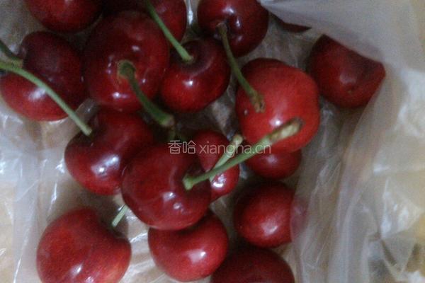 雀巢美果丁的做法图解6