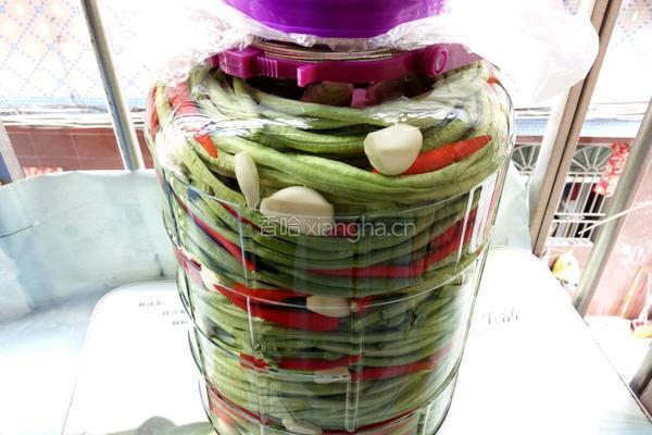 自制酸豆角―JIARU 的做法图解8