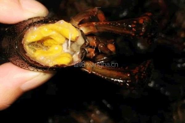 湖北潜江油焖大虾（特推）的做法图解1