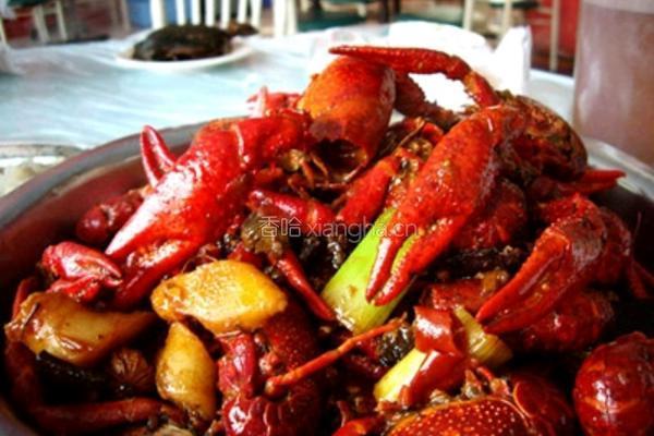 湖北潜江油焖大虾（特推）的做法图解4