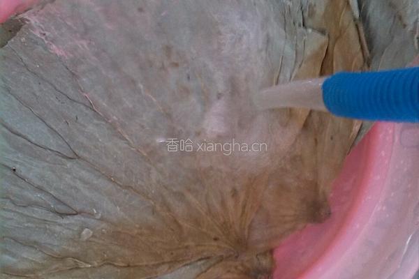 电饭锅荷叶糯米鸡的做法图解4