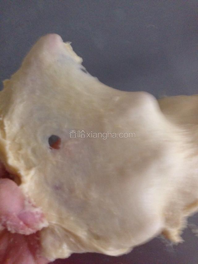 除黄油外所有材料混合搅拌揉至能拉出厚膜状态。