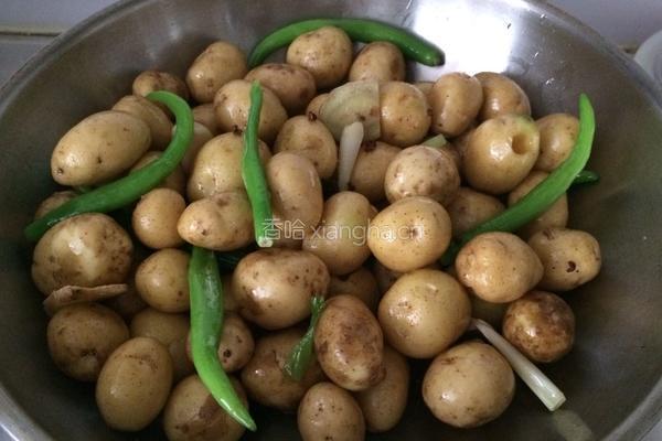 麻辣酱小土豆的做法图解5