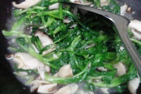 四个菜(香菇青菜.蒸茄子,娃娃菜.青椒炒八爪鱼)的做法图解3