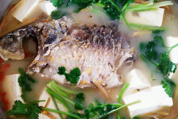 鲫鱼豆腐汤的做法图解4