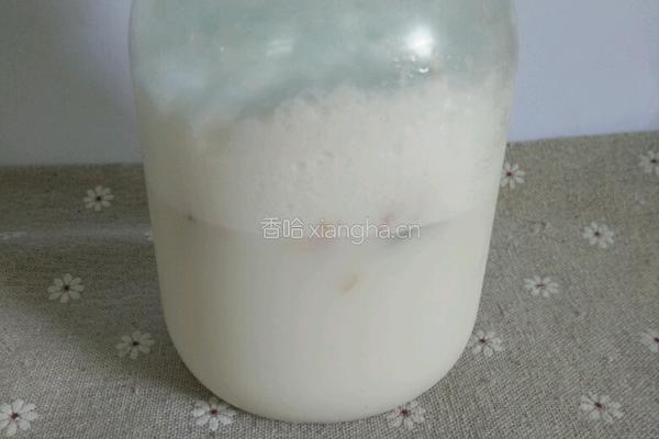 玫瑰茉莉奶茶的做法图解6