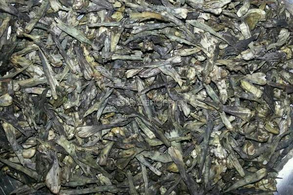 干巴菌的做法图解2