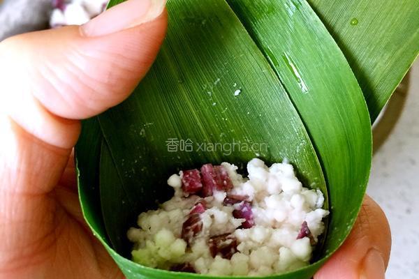 水晶迷你紫薯粽子的做法图解4