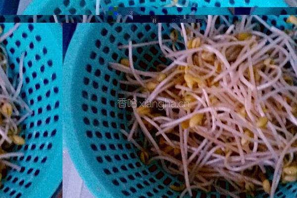 酸菜鱼的做法图解5