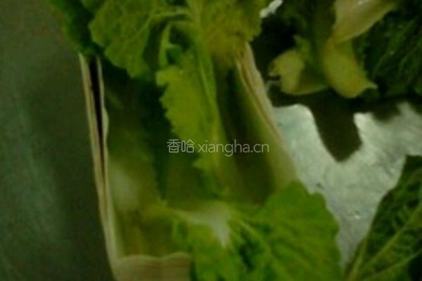 小白菜粉条的做法图解1