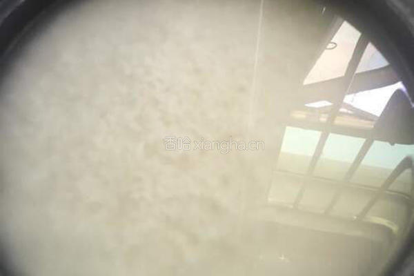 肉粽子的做法图解2
