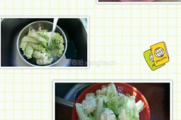 清炒小白菜的做法图解1