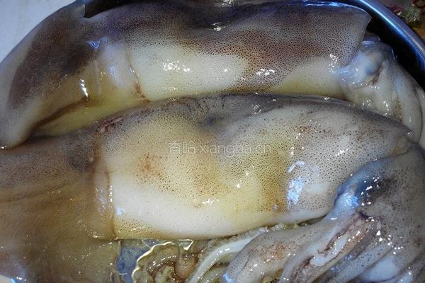 酥香鱿鱼圈的做法图解1