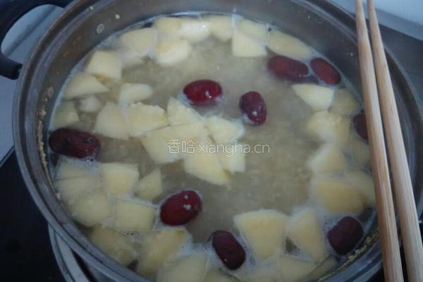 小米红枣苹果粥的做法图解5