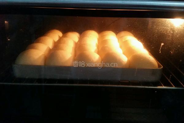 奶香豆沙椰蓉小餐包的做法图解7